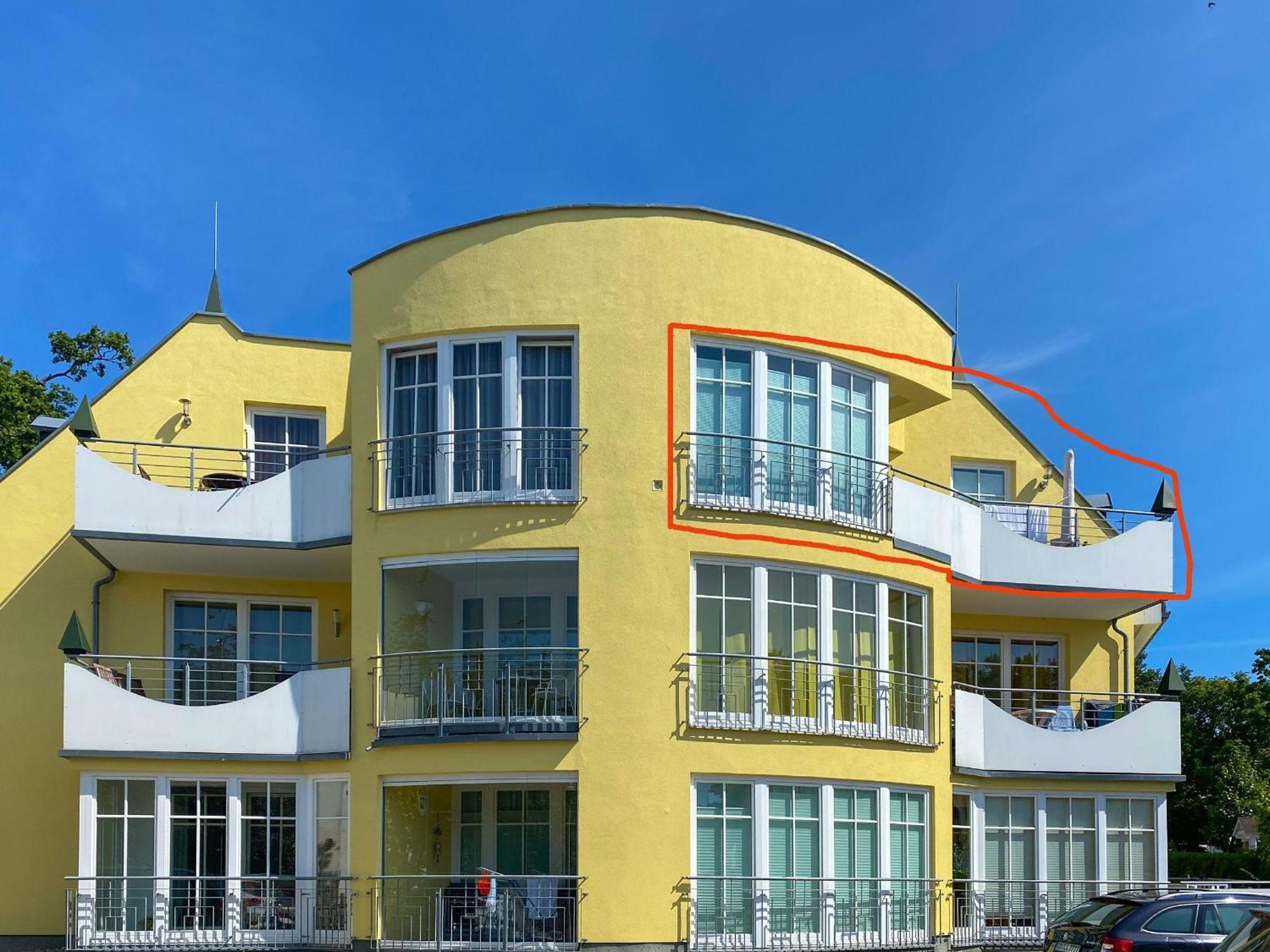 Lachmöve In Der Vogelsang Im Ostseebad * Ostseebad Binz