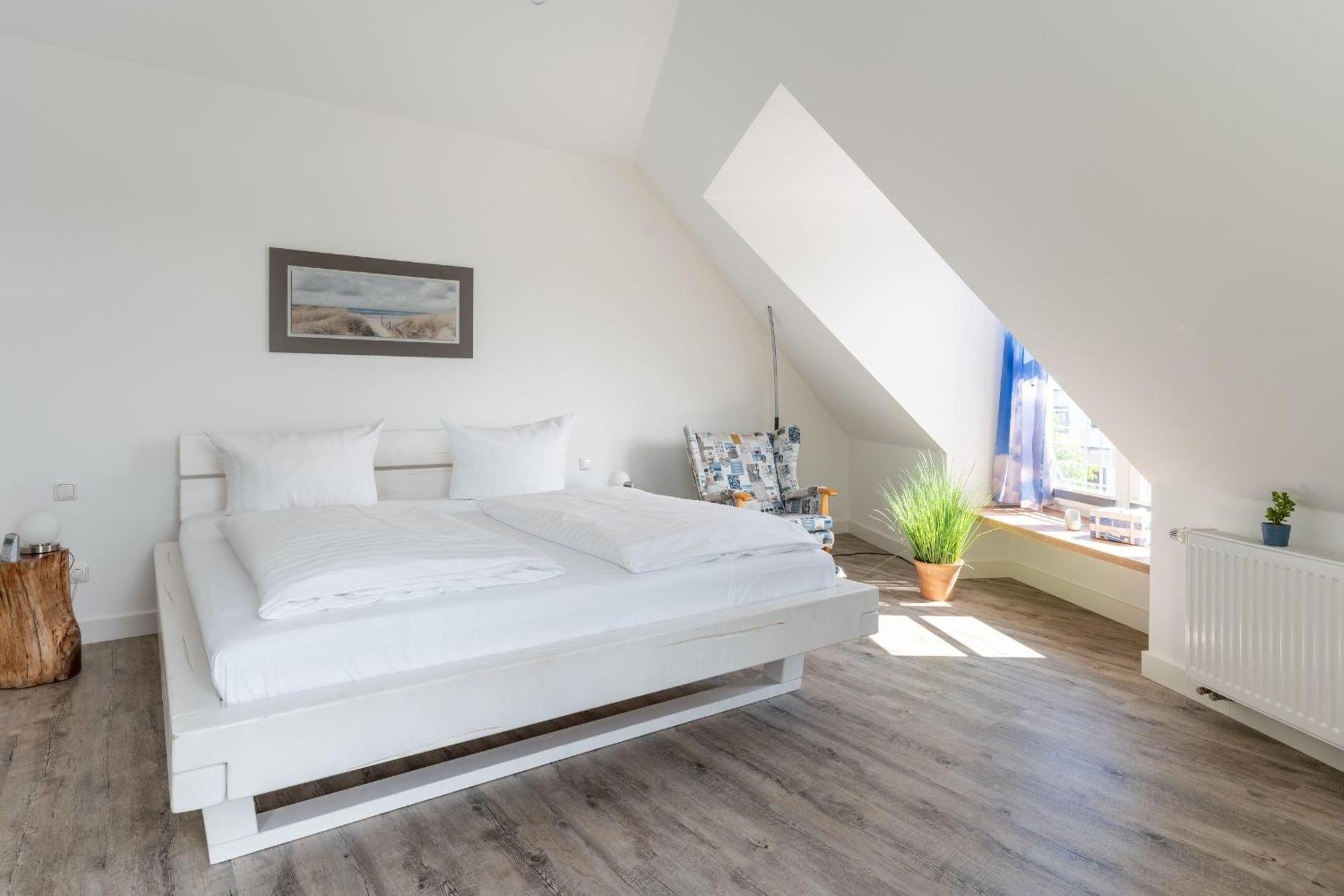 Lachmöve In Der Vogelsang Im Ostseebad Apartment