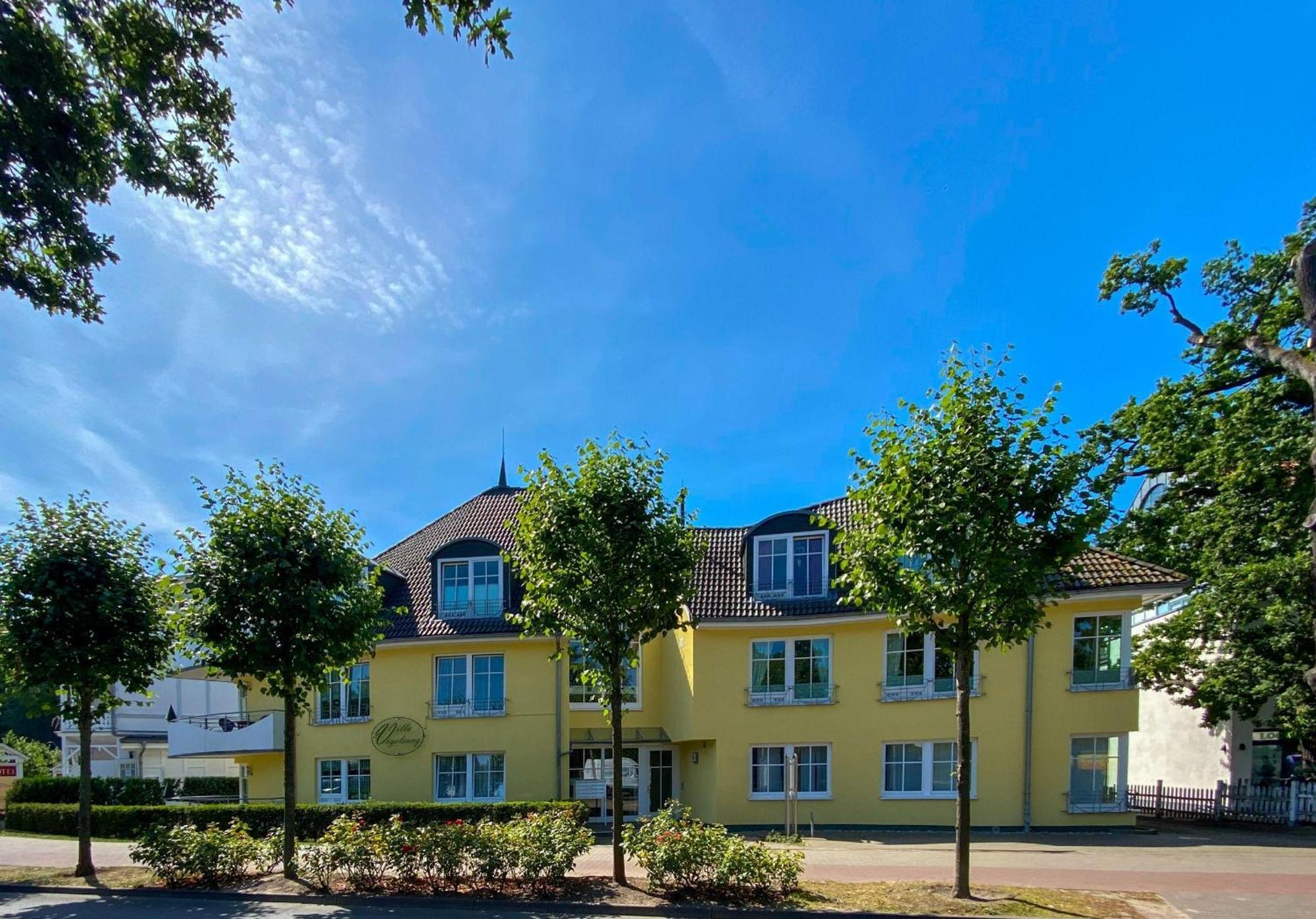 Lachmöve In Der Vogelsang Im Ostseebad Ostseebad Binz